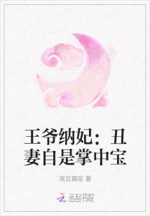 王爷纳妃丑妻自是掌中宝