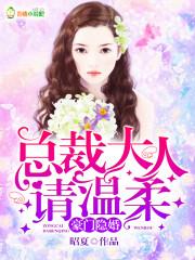 豪门隐婚总裁大人请温柔