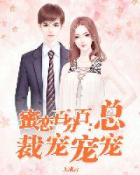 总裁宠妻百分百墨少寒
