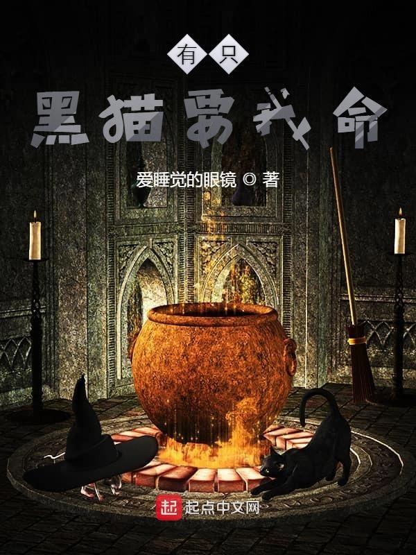 有黑猫跟着你是什么意思