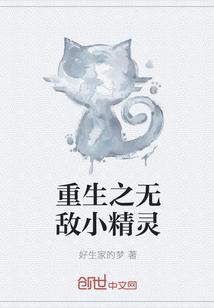 口袋小精灵无敌版
