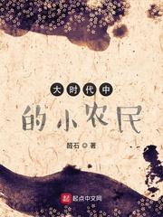 大时代中的小农民听书