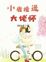 小鹿撞进大佬怀txt