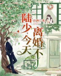 陆少今天离婚不里陆匪翧