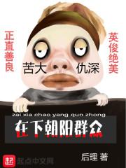 朝阳群众是什么组织