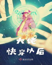大佬快穿以后TXT免费