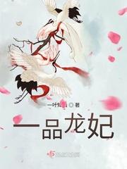 一品龙妃一叶知山