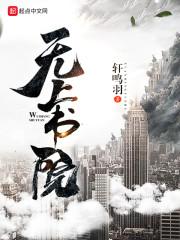 无上书院txt八