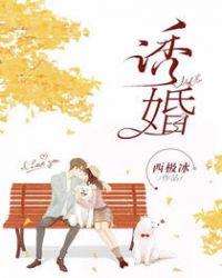 诱婚缠绵免费阅读无弹窗