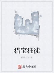 猎宝狂徒txt奇书网