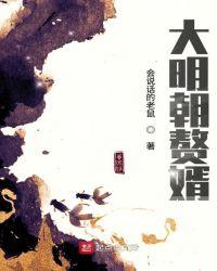 大明朝赘婿柳如是