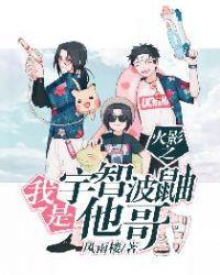 火影之我是宇智波鼬他哥完本