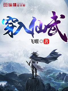 穿入仙武 txt