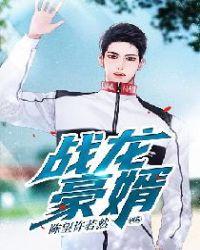 战龙龙婿归来