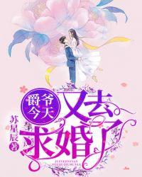 爵爷今天又去求婚了TXT