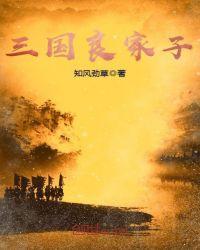 重生三国之刘家逆子