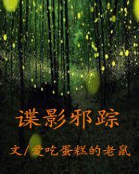 狐踪谍影 电影