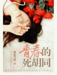 青春的死胡同结局是啥