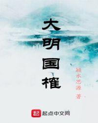 大明国榷txt