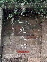 重生之1987开始