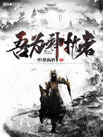 吾为神执者txt