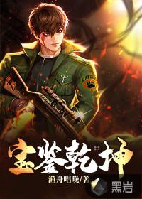 乾坤国宝书籍