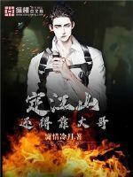 定江山还得靠大哥免费