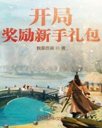 开局奖励新手礼包后续