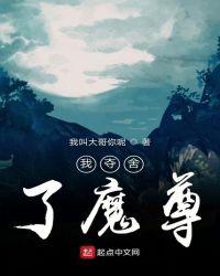 我夺舍了魔尊作者 天之笔