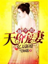 亿万新娘顾少的天价宠妻 雪如歌