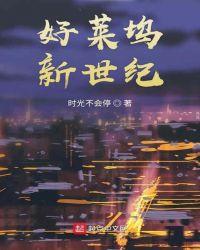 好莱坞新世纪txt