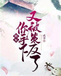 将军手下无弱兵下一句