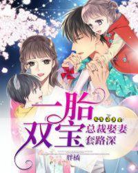 一胎双宝总裁娶妻套路深txt