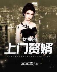 女总裁的上门女婿完结版