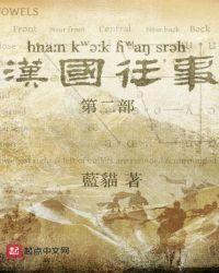汉国历史简介
