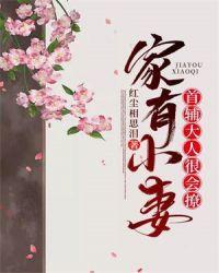 家有小妻首辅大人很会撩 百度