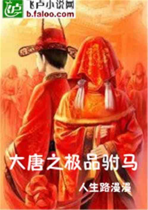 大唐之极品驸马长孙少卿
