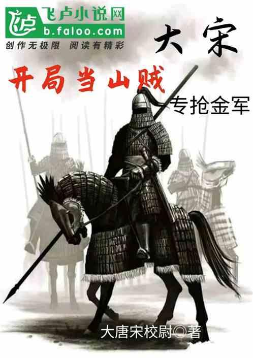 专抢金军作者 大唐宋校尉