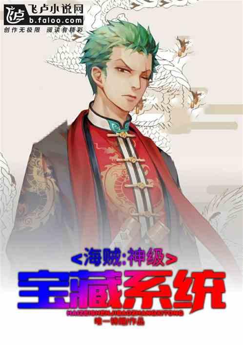 海贼神级宝藏系统第八区
