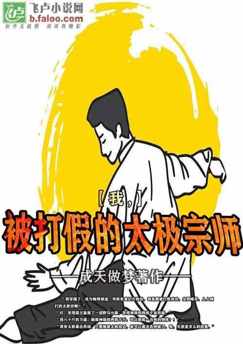 我被打假的太极宗师无弹窗