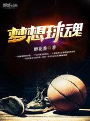 梦想小球