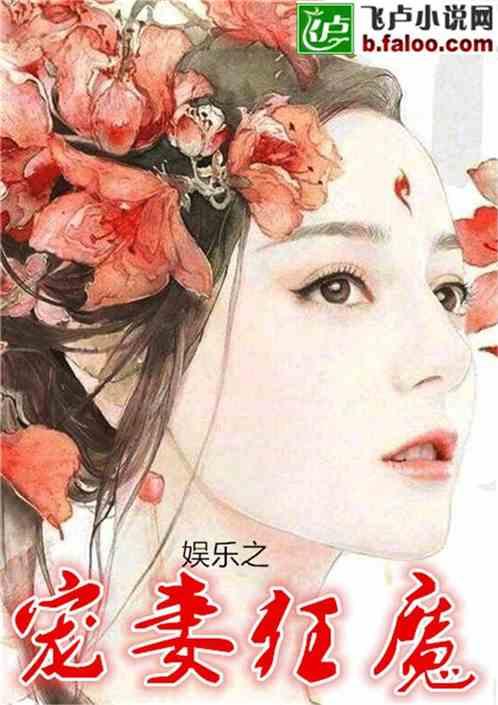 娱乐之宠妻狂魔叶枫笔趣阁