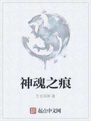 灵魂之痕哪个图多