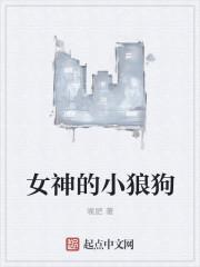 女神的小狼狗只想混吃等死