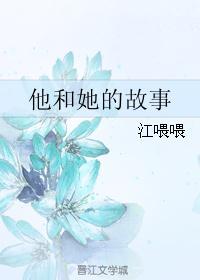 他和她的故事动画片