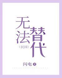 民国无法替代闪电