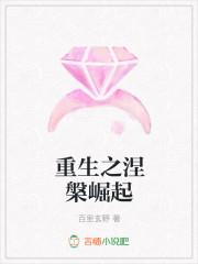 重生之商女崛起