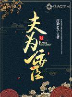 夫为佞臣评价