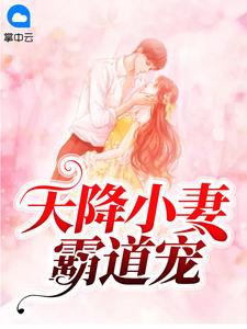 天降小妻霸道宠全文免费阅读大结局