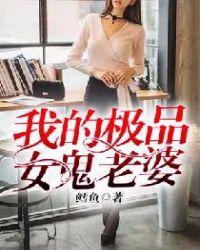 电视剧叫我的极品老婆